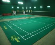 BADMINTON COURTS